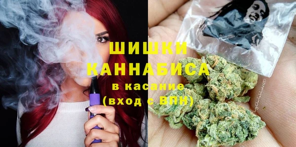 ешки Алексин