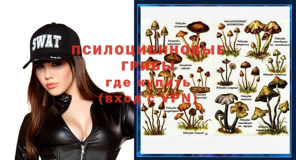 ешки Алексин