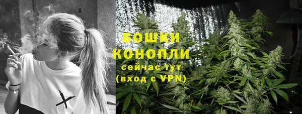 PSILOCYBIN Кинешма