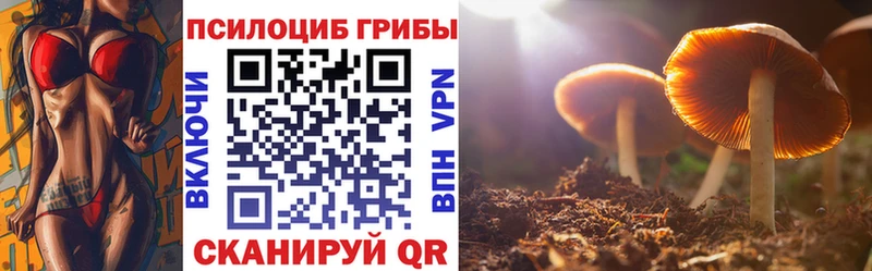 наркота Кимры mega зеркало Псилоцибиновые грибы Cubensis